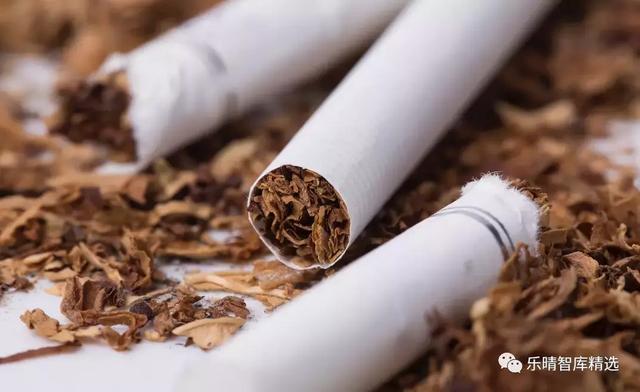 新型煙草崛起 全球泛煙草行業的顛覆性變革與未來契機